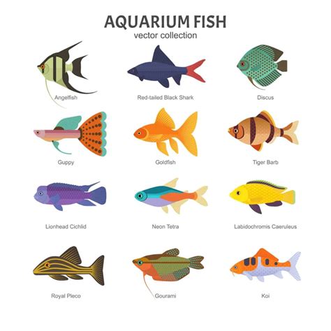 Types of Freshwater Fish .
